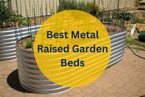 metal raised garden beds reviews